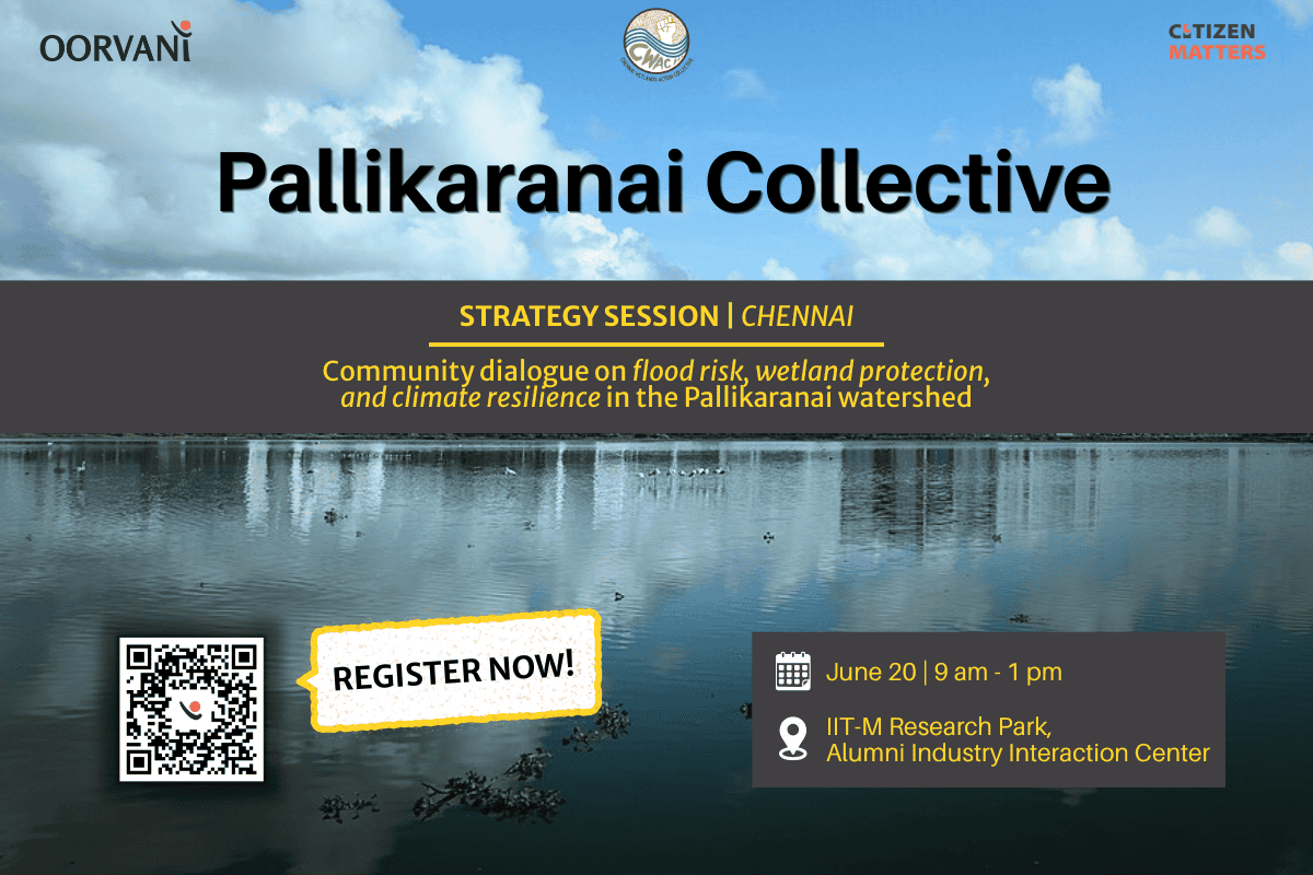 A strategy for Pallikaranai